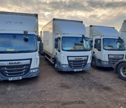 daf lf box 4x2 2019 250204